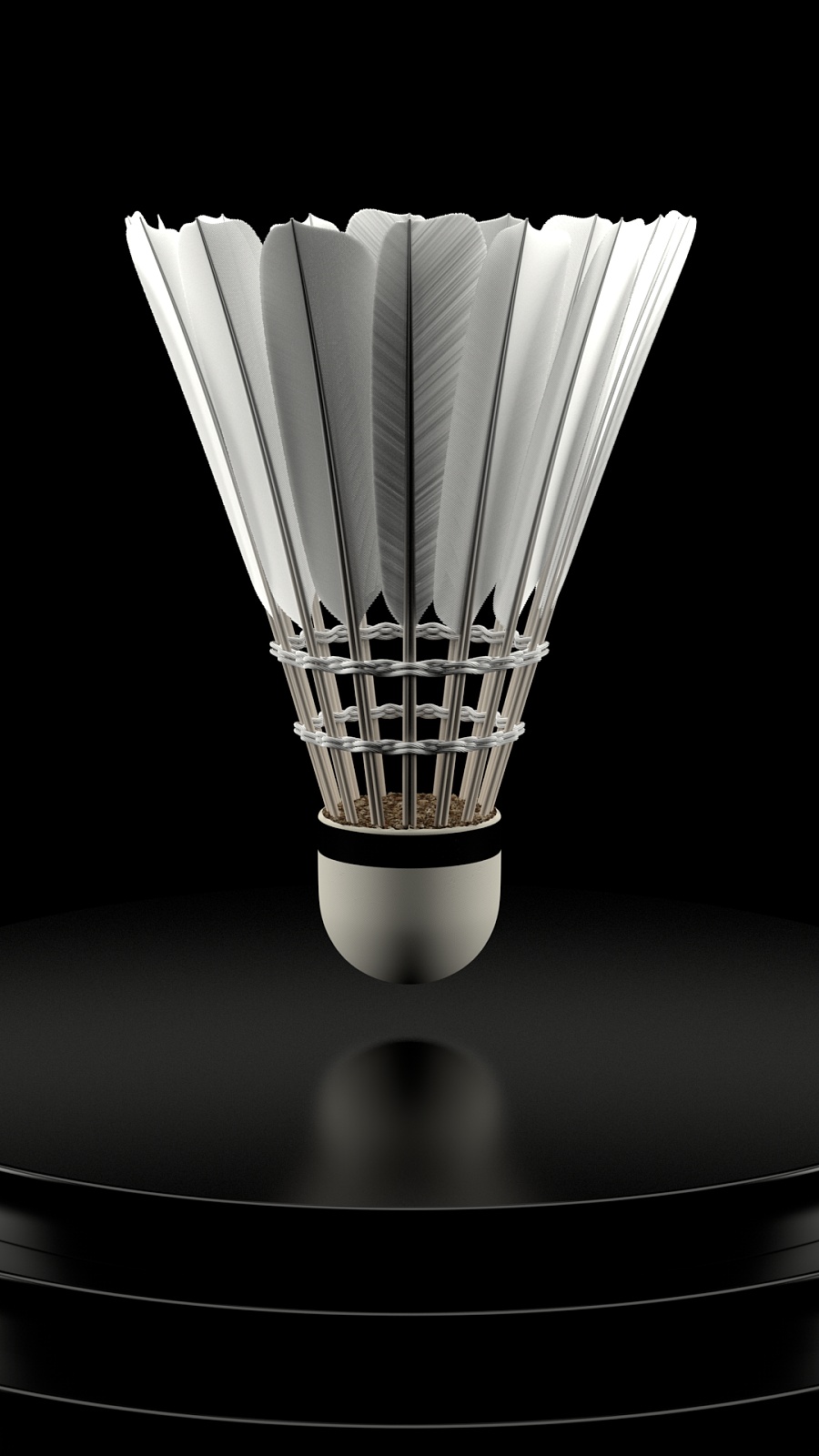 得了荣誉 得了荣誉