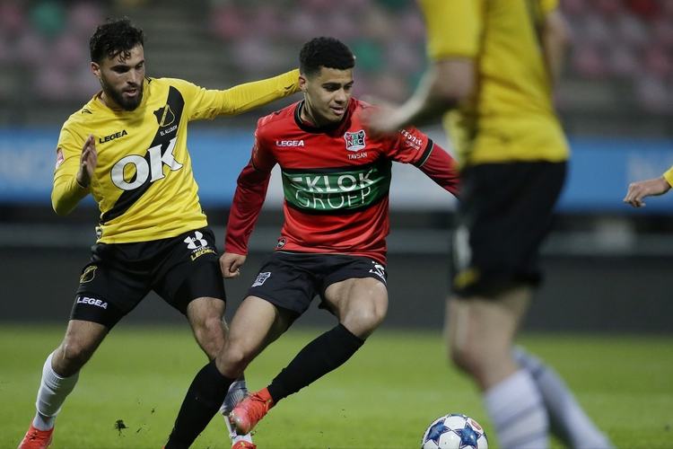 立了更高的 立了更高的